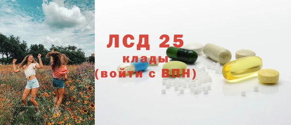 spice Богородск