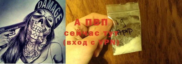 spice Богородск