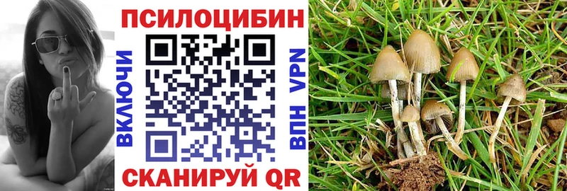 Галлюциногенные грибы GOLDEN TEACHER  где найти наркотики  Купино 